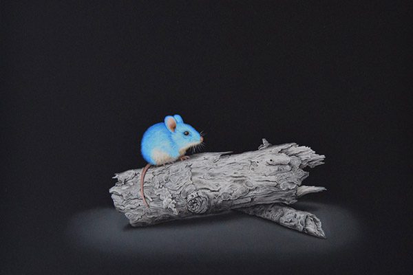 Blue_Mouse_on_Branch